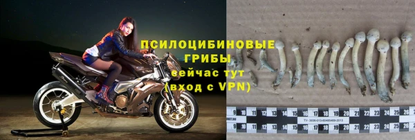каннабис Богородицк