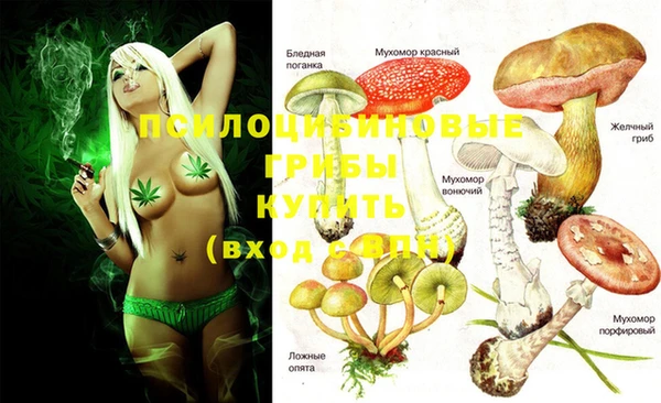 мяу мяу мука Бугульма